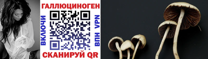 Галлюциногенные грибы мицелий  Рыбинск 